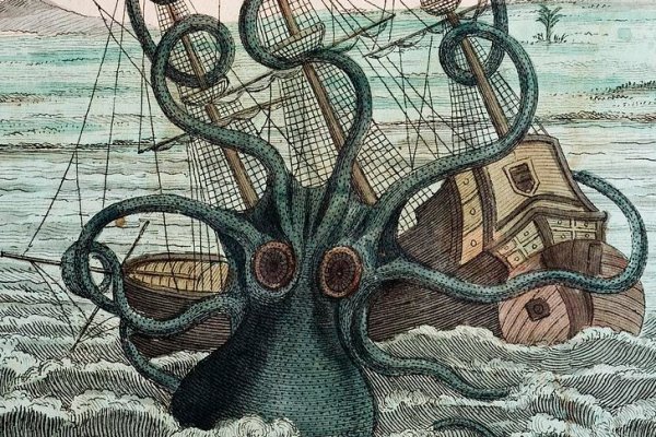 Kraken kraken dark link