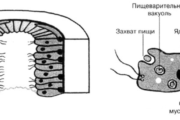 Кракен магазин даркнет