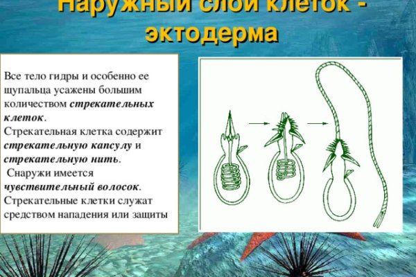 Кракен вход официальный сайт