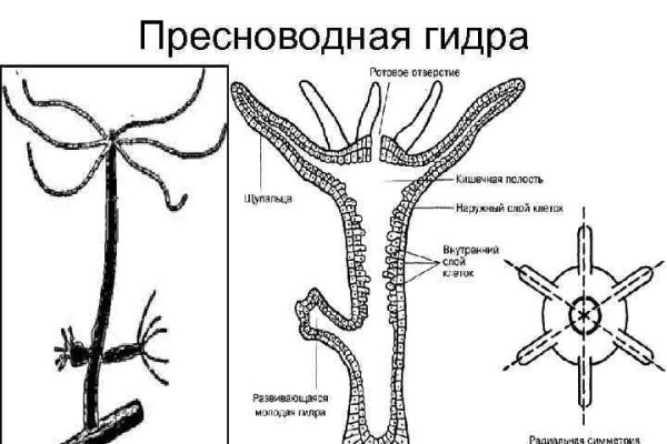 Ссылка кракен kraken torion net