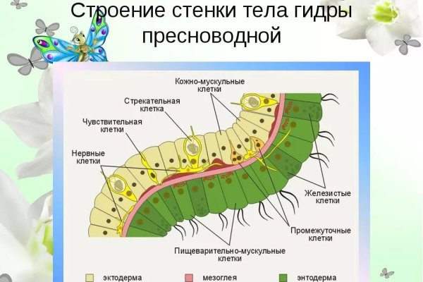 Как зайти на кракен в торе