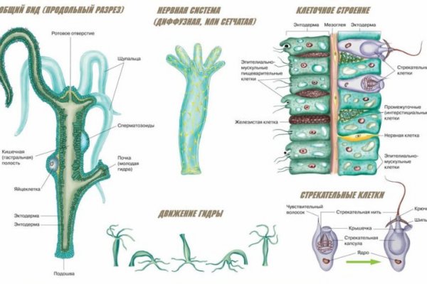 Kraken ссылка для тору