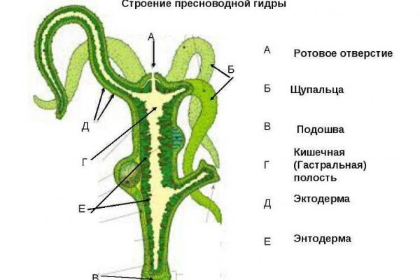 Кракен маркет плей