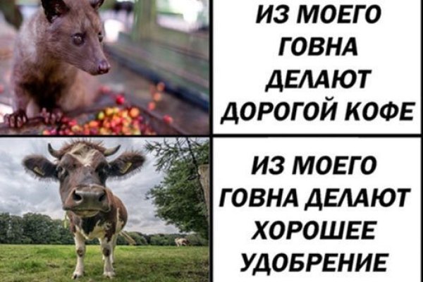 Кракен ссылка kraken
